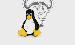 Featured image of post GNU/Linux