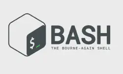 Featured image of post Bash shell script for removing duplicate files