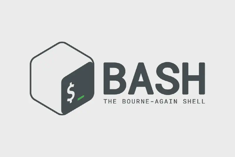 Featured image of post Bash shell script for removing duplicate files