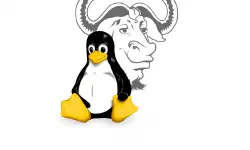 Featured image of post Create a LUKS encrypted EXT4 filesystem in a file under GNU/Linux